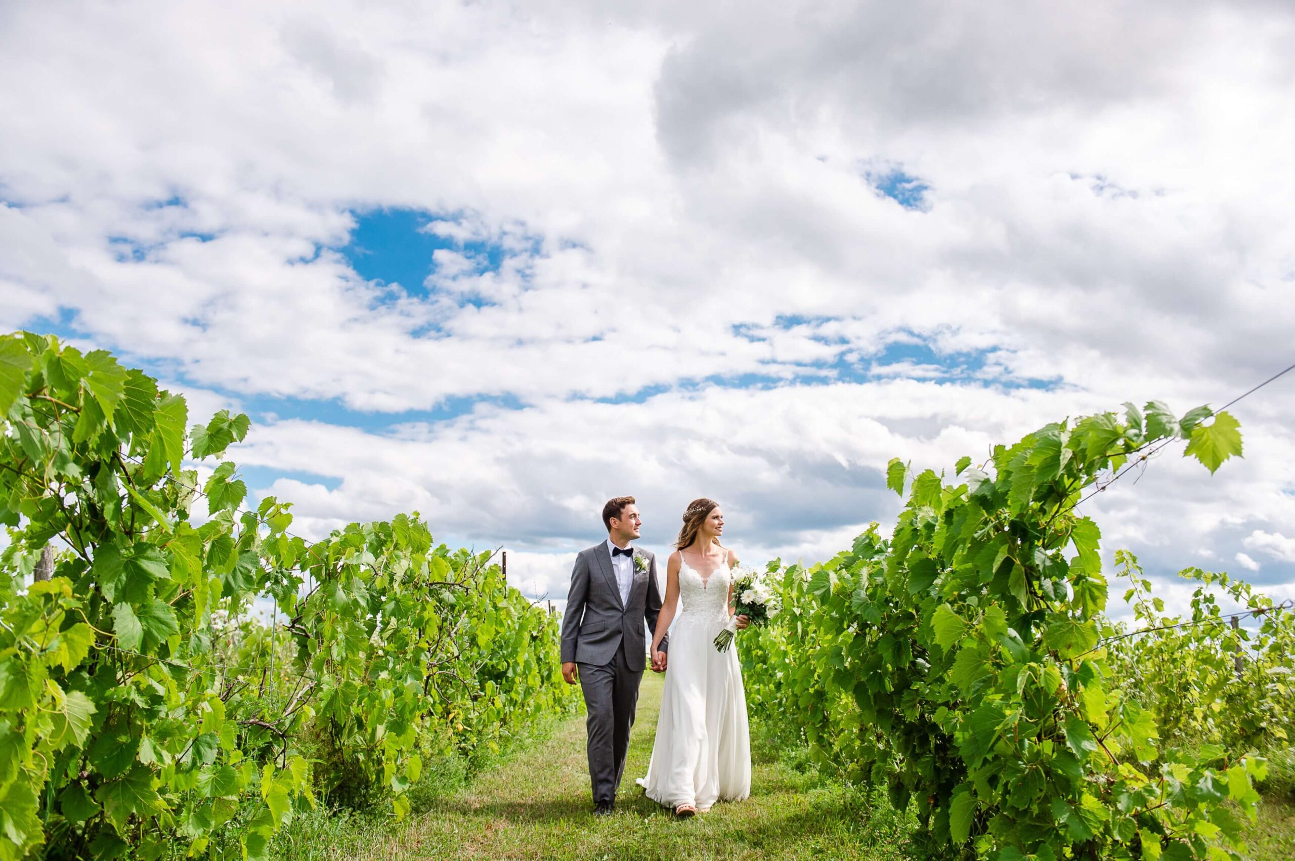 a bride and groom walk hand-in-hand among the vines of Jabulani Wedding Venue
