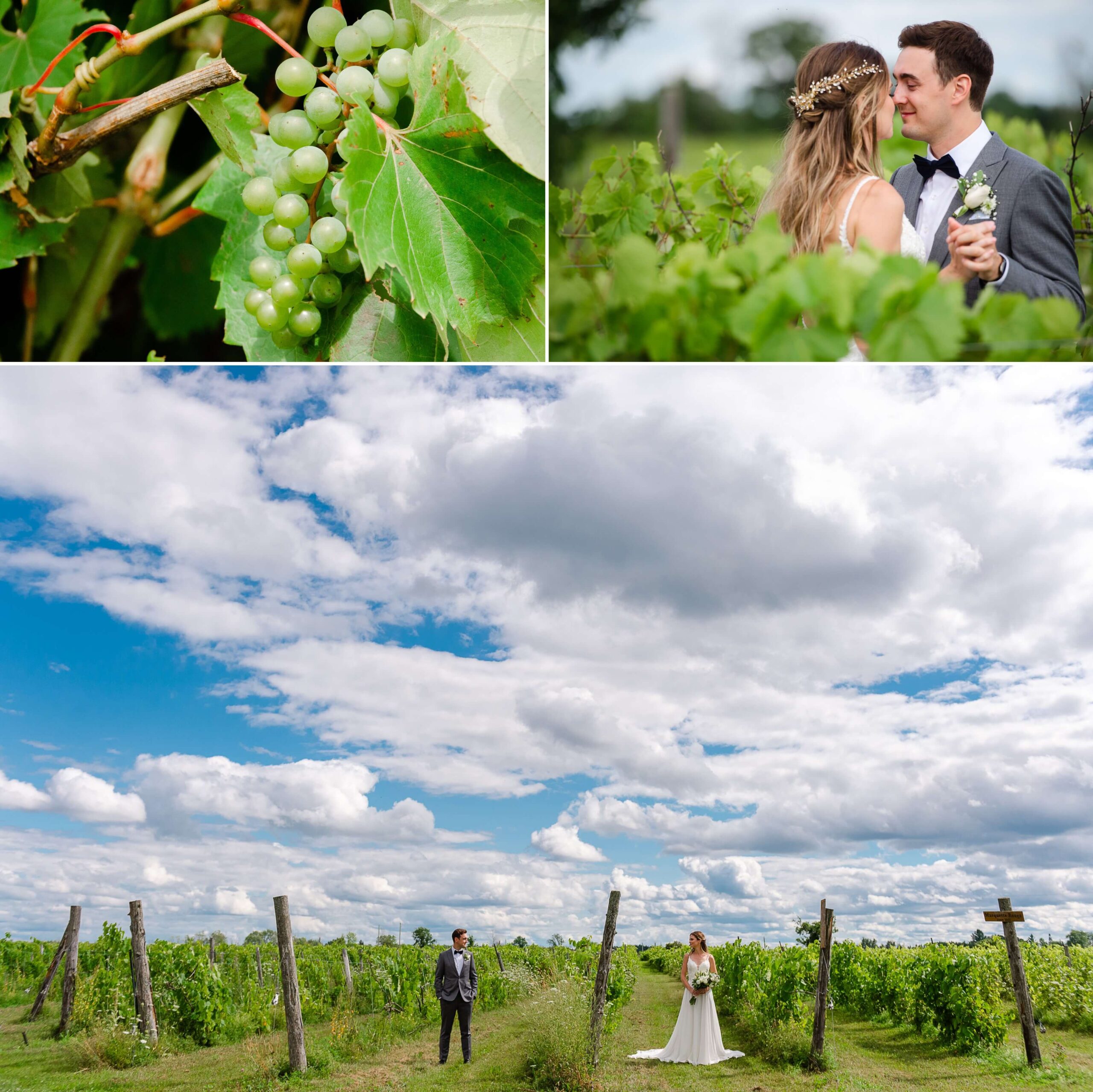 a collage of photos of a bride and groom kissing noses and walking among the vines at Jabulani Wedding Venue