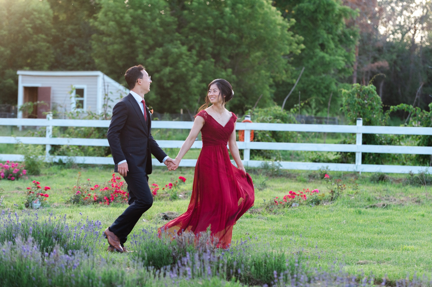 a bride in a red dress and a groom in a black suit walking through lavender and roses on the property of their Ottawa backyard wedding