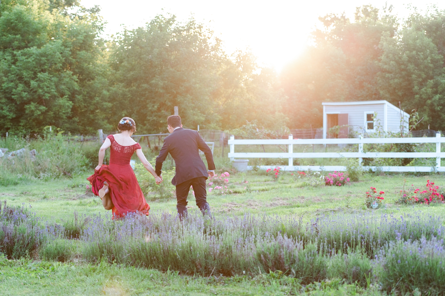 a bride in red dress and a groom in a black suit jumping through a field of lavender and roses during their Ottawa backyard wedding.